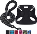 Reflective Harness & Matching Dog Leash Set for Dogs