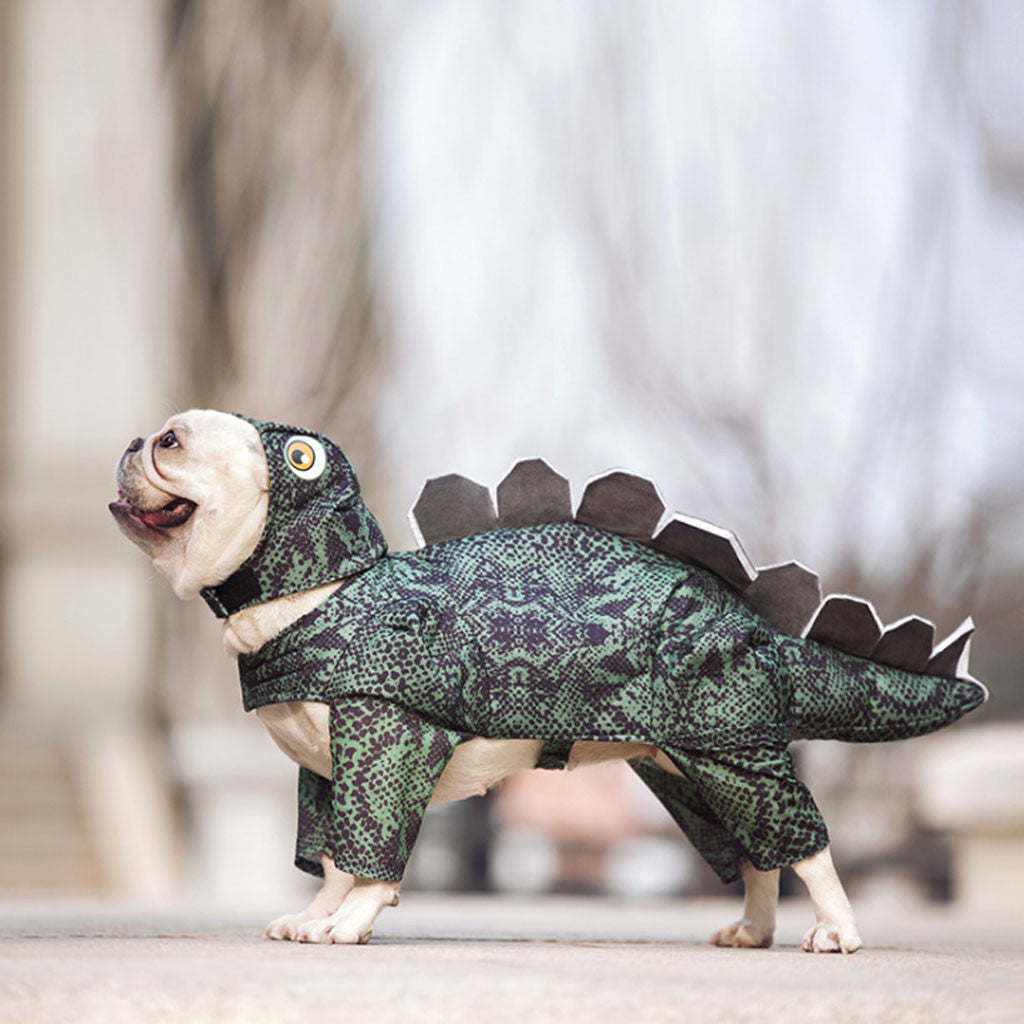 Pet dinosaur clothes - Majestic Pet Kingdom