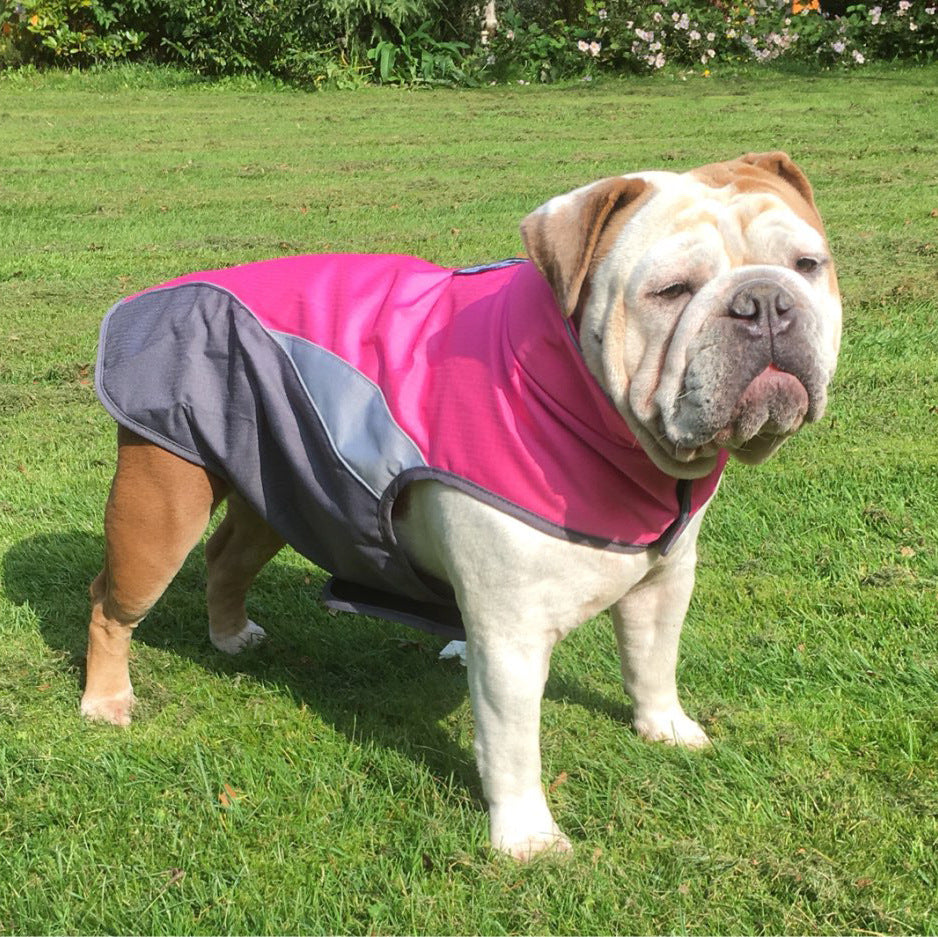 Waterproof outdoor poncho for pets - Majestic Pet Kingdom