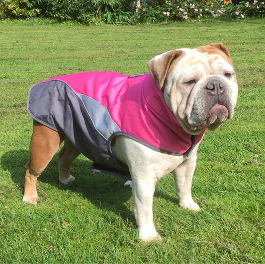 Waterproof outdoor poncho for pets - Majestic Pet Kingdom