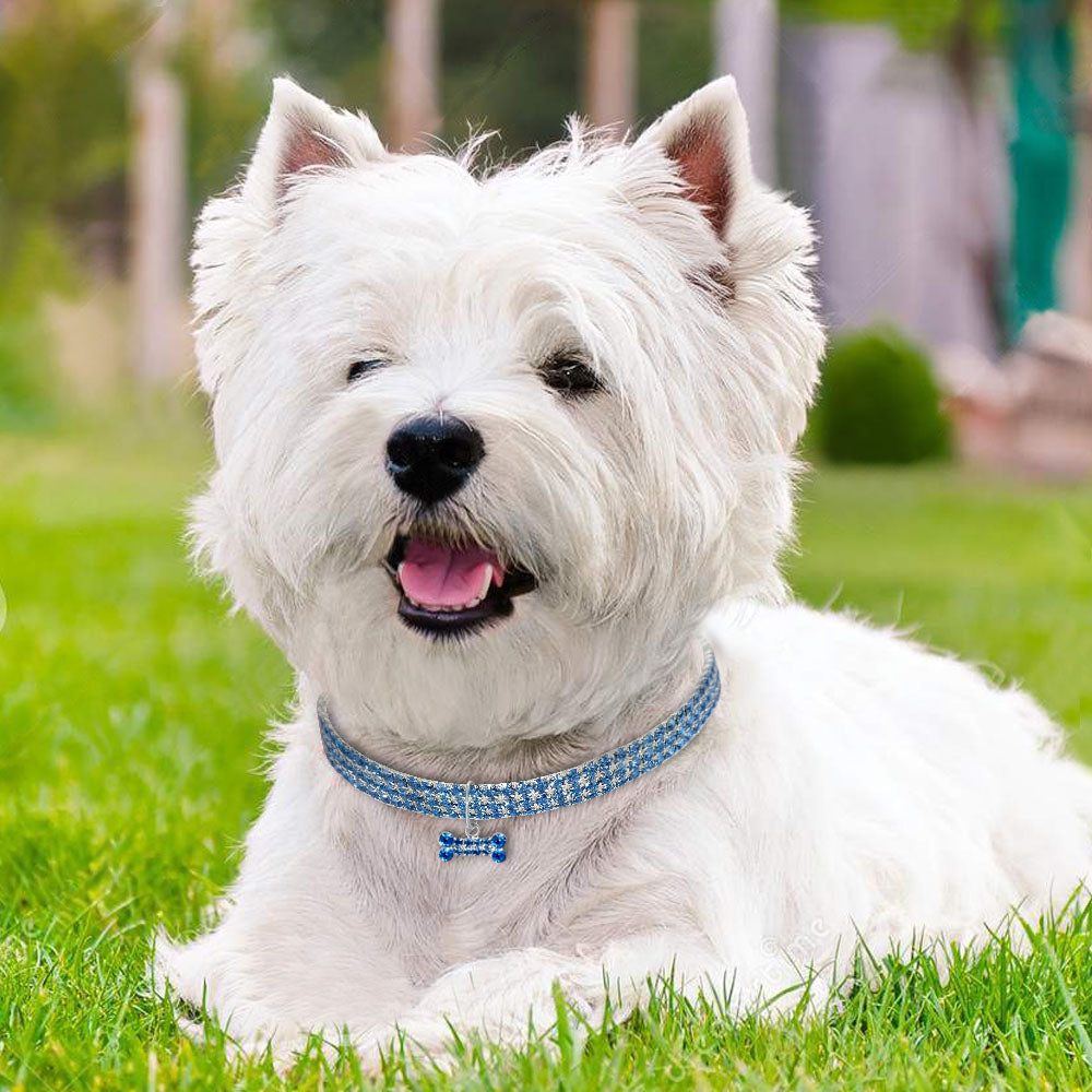 Luxury Pet Essentials - Purrfect Pet Kingdom™
