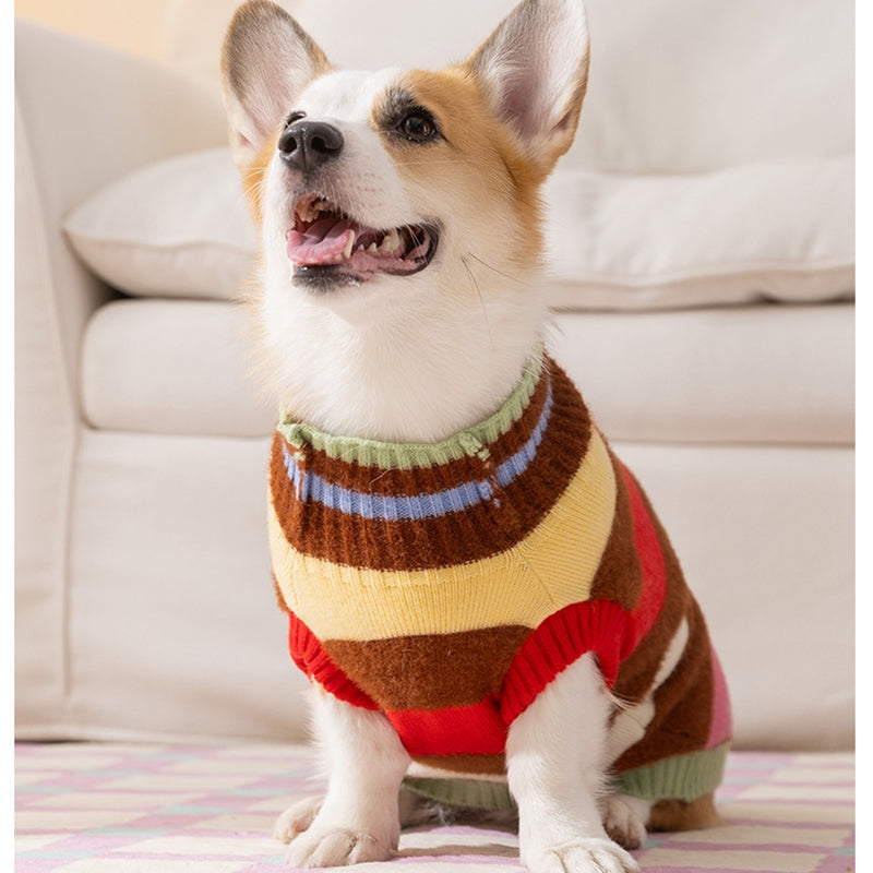 Pet Clothing, Corgi Special Rainbow Apple Striped Autumn And Winter Warm Medium-sized Dog Pullover Sweater, Dog Clothing - Majestic Pet Kingdom