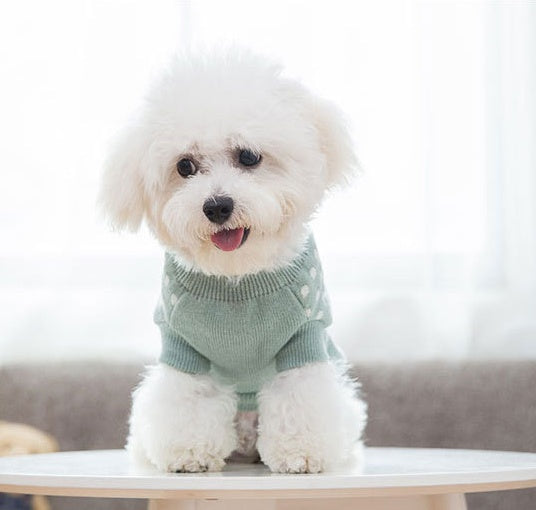 Dog clothes - Majestic Pet Kingdom