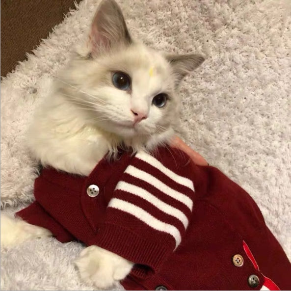 Cat pet clothes - Majestic Pet Kingdom