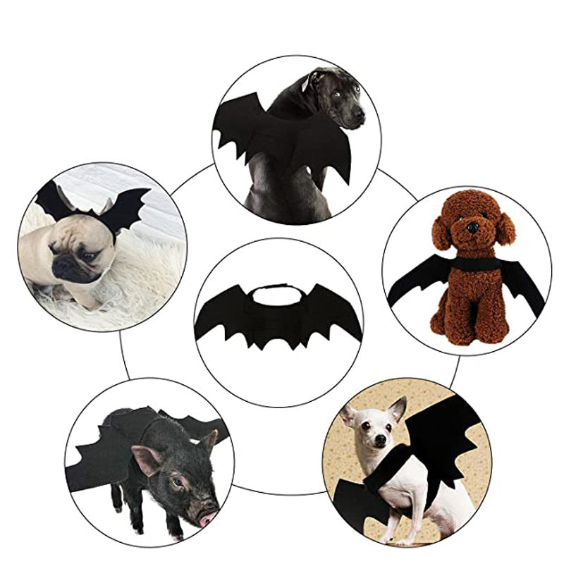 Luxury Pet Essentials - Purrfect Pet Kingdom™