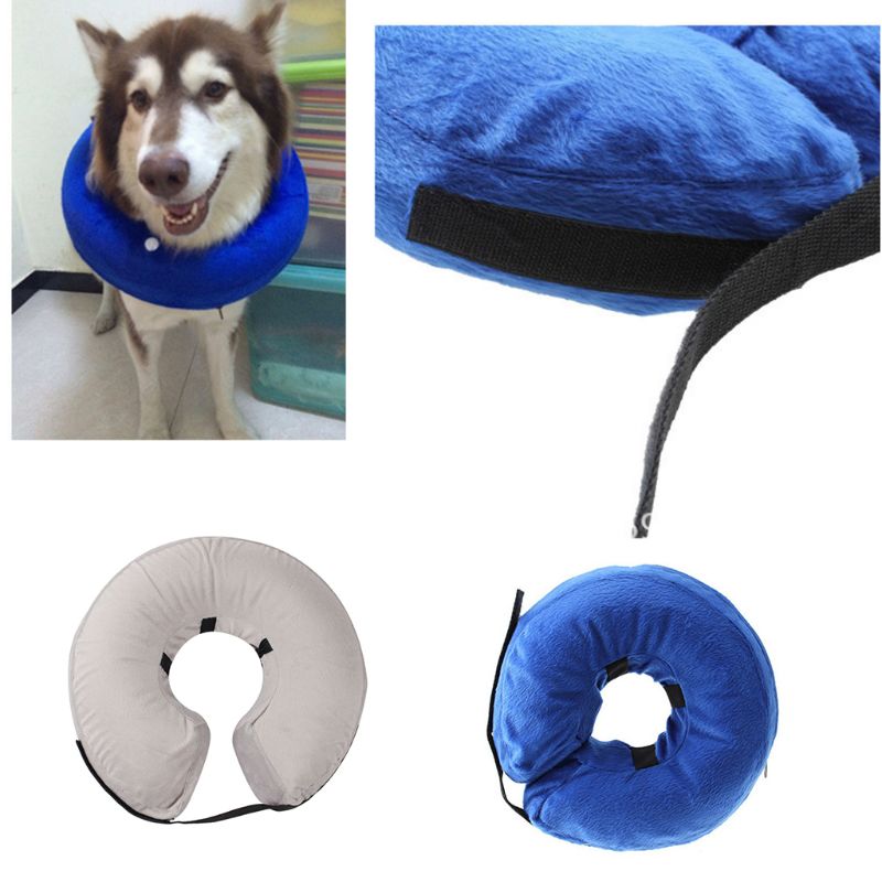 Luxury Pet Essentials - Purrfect Pet Kingdom™