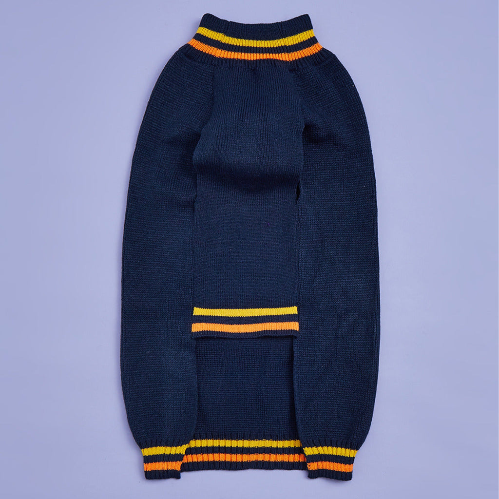 New Halloween Pumpkin Pet Sweater In Blue - Majestic Pet Kingdom