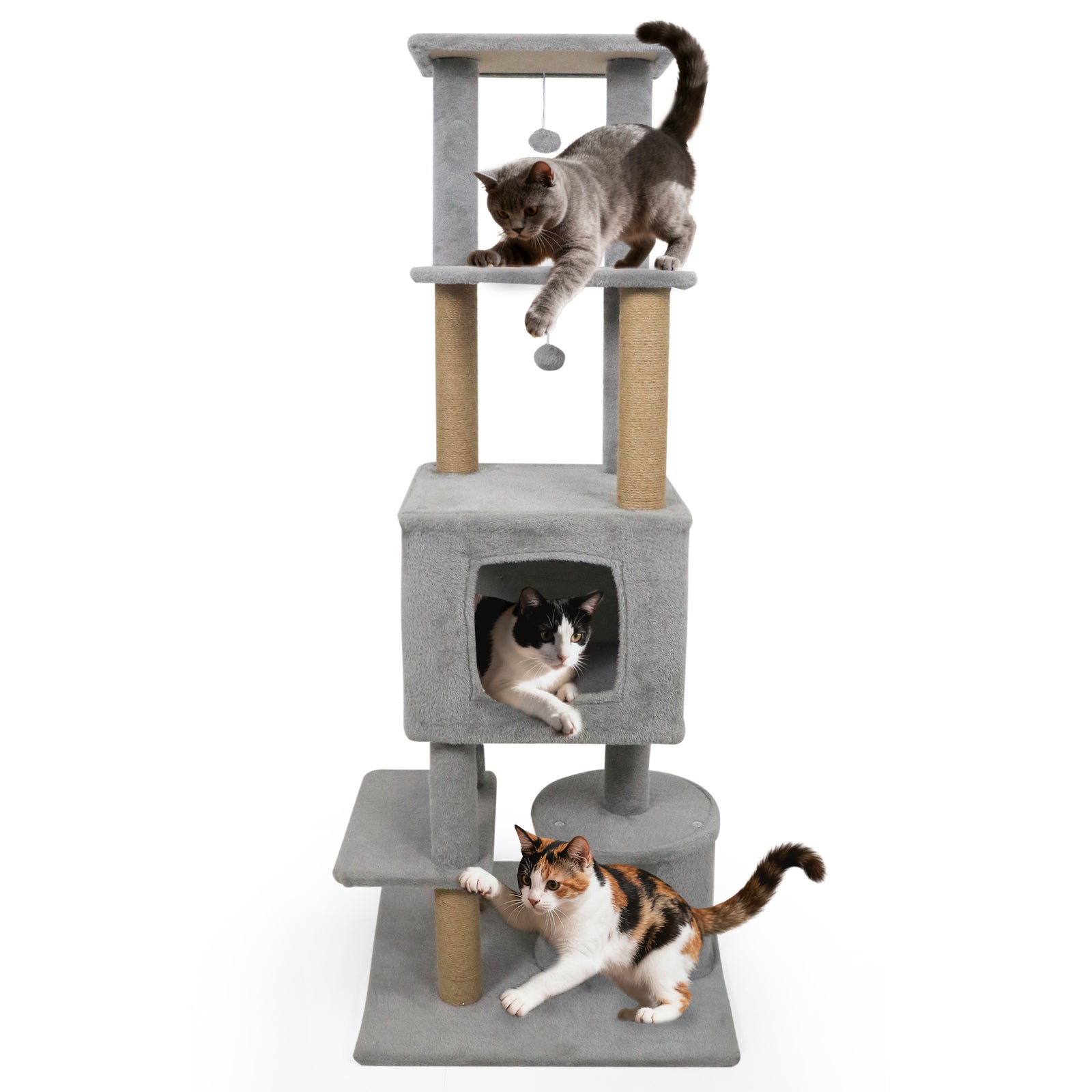 64 Inch Tall Cat Tree with 2 Large Condos and Jute Scratching Posts for Indoor Adult Cats - Majestic Pet Kingdom
