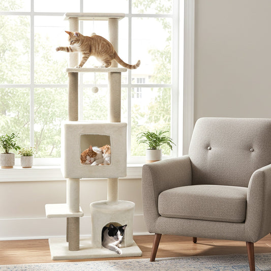64 Inch Tall Cat Tree with 2 Large Condos and Jute Scratching Posts for Indoor Adult Cats - Majestic Pet Kingdom