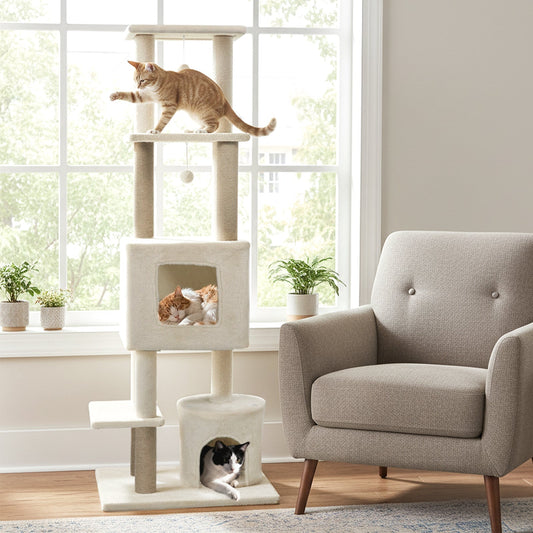 64 Inch Tall Cat Tree with 2 Large Condos and Jute Scratching Posts for Indoor Adult Cats - Majestic Pet Kingdom