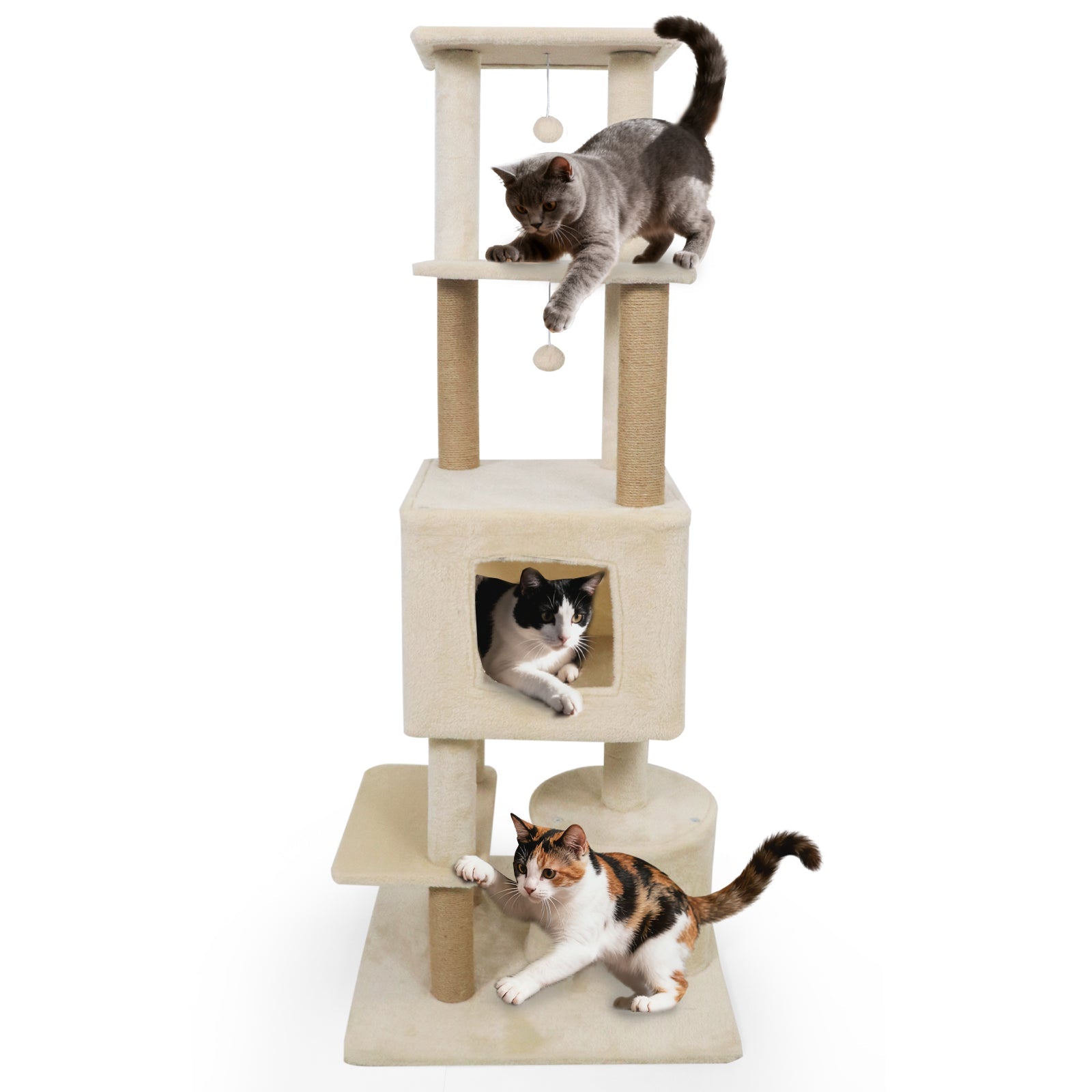 64 Inch Tall Cat Tree with 2 Large Condos and Jute Scratching Posts for Indoor Adult Cats - Majestic Pet Kingdom