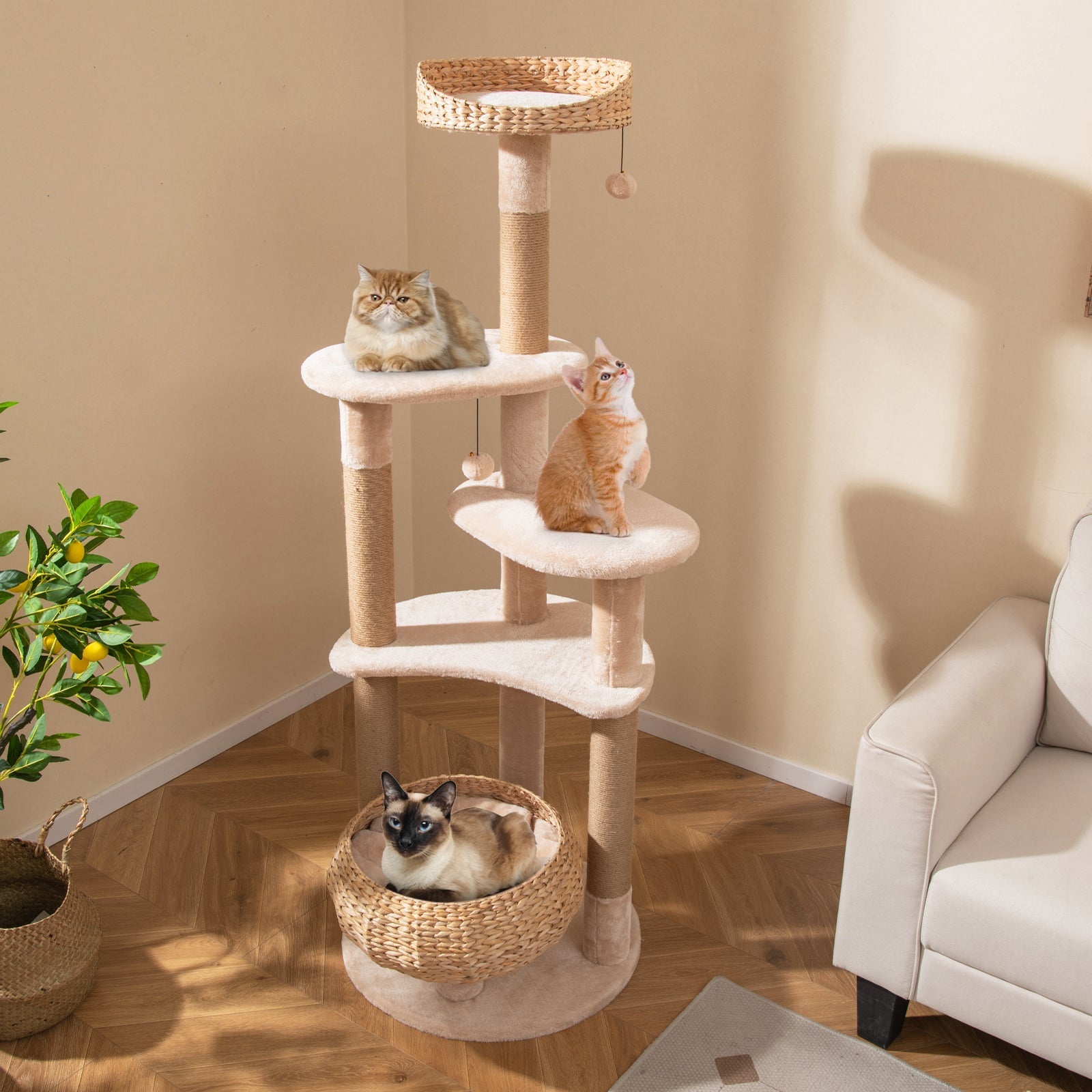 59 Inches Cat Tree with Perch and Soft Hammock for Indoor Cats-Beige - Majestic Pet Kingdom