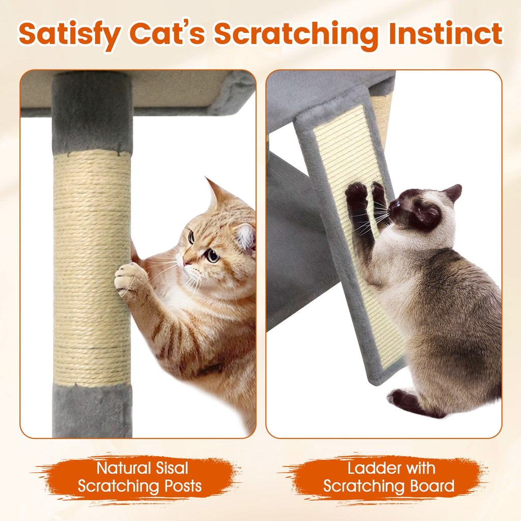65 Inch Tall Multi-level Cat Tree with 3 Upholstered Perch and 2 Cat Condos - Majestic Pet Kingdom