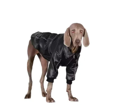 Dog Clothes For Medium To Large Breeds Autumn Black Leather Jacket For Labradors, Golden Retrievers, And Samoyeds