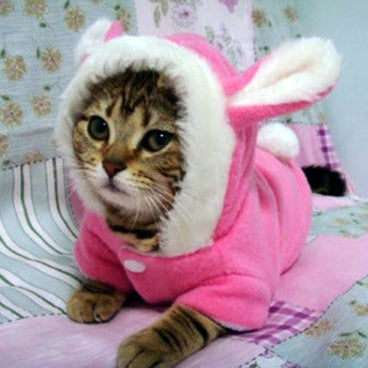 Pet Cat Clothes Mascotas Costume Clothes For Pet Hoodies Cute Rabbit Cat Clothing Puppy Fleece Warm Pet Cat Jacket - Majestic Pet Kingdom