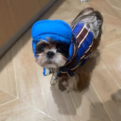 Dog Hoodie Pure Cotton Padded Warm Winter Jacket Puppy Coat - Detail Angle 3 | Majestic Pet Kingdom