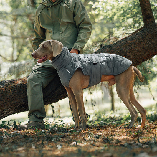 thick-warm-dog-clothing-outdoor-cotton-coat-vest-winter-warmth-luxury-view-2 | Majestic Pet Kingdom