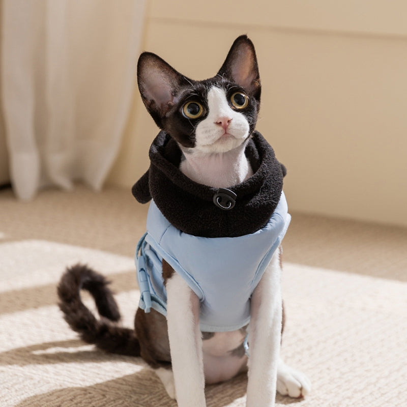 Autumn And Winter Cat Hairless Warm Cartoon Embroidered Hooded Cotton Coat, Small And Medium-sized Dog Teddy Pet Dog Clothes - Majestic Pet Kingdom