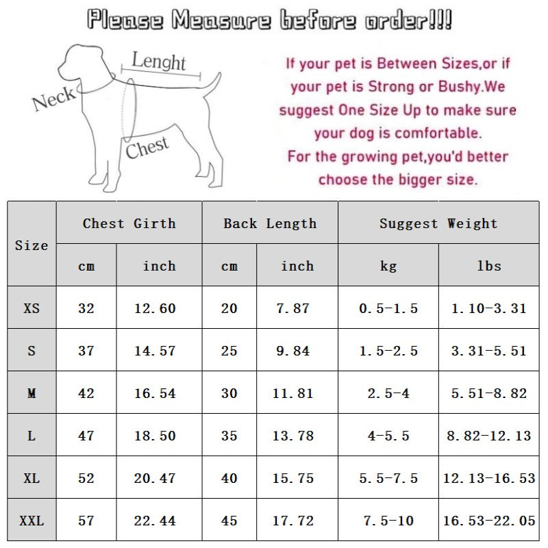 Pet Product - Premium Pet Accessory