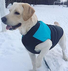 Autumn And Winter Pet Ski Wear Dog Outdoor Coat Vest Breathable Pet Supplies Coat - Majestic Pet Kingdom