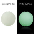 Interactive pet glow ball