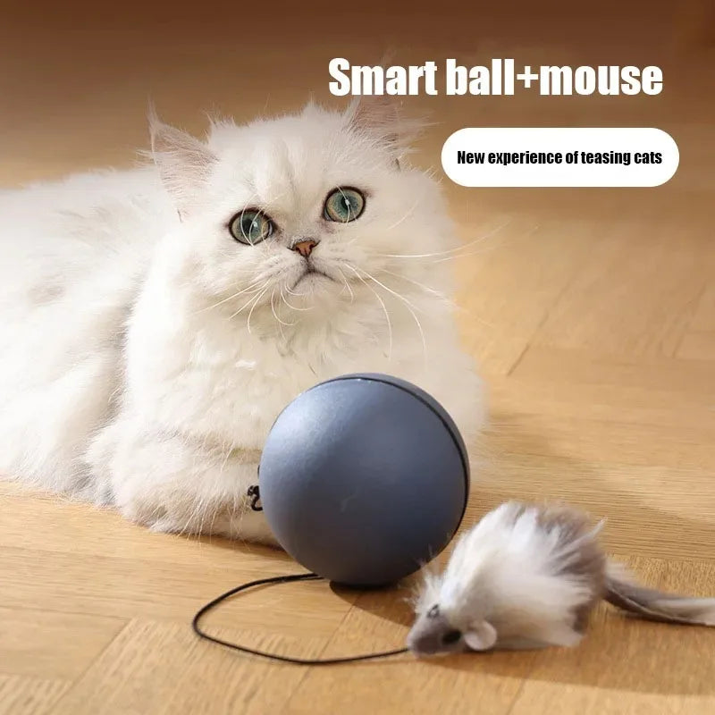 Automatic Intelligent Moving Mouse Teaser Ball