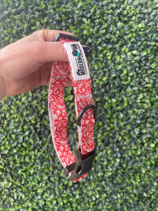 Bad To The Bone Bandana Dog Collar – Bold Style