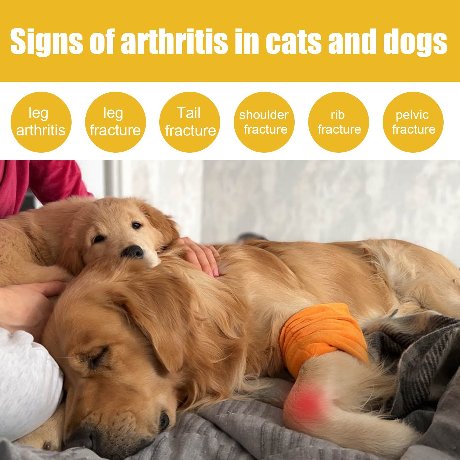 Joint Relief Spray for Dogs & Cats: Soreness & Muscle Care