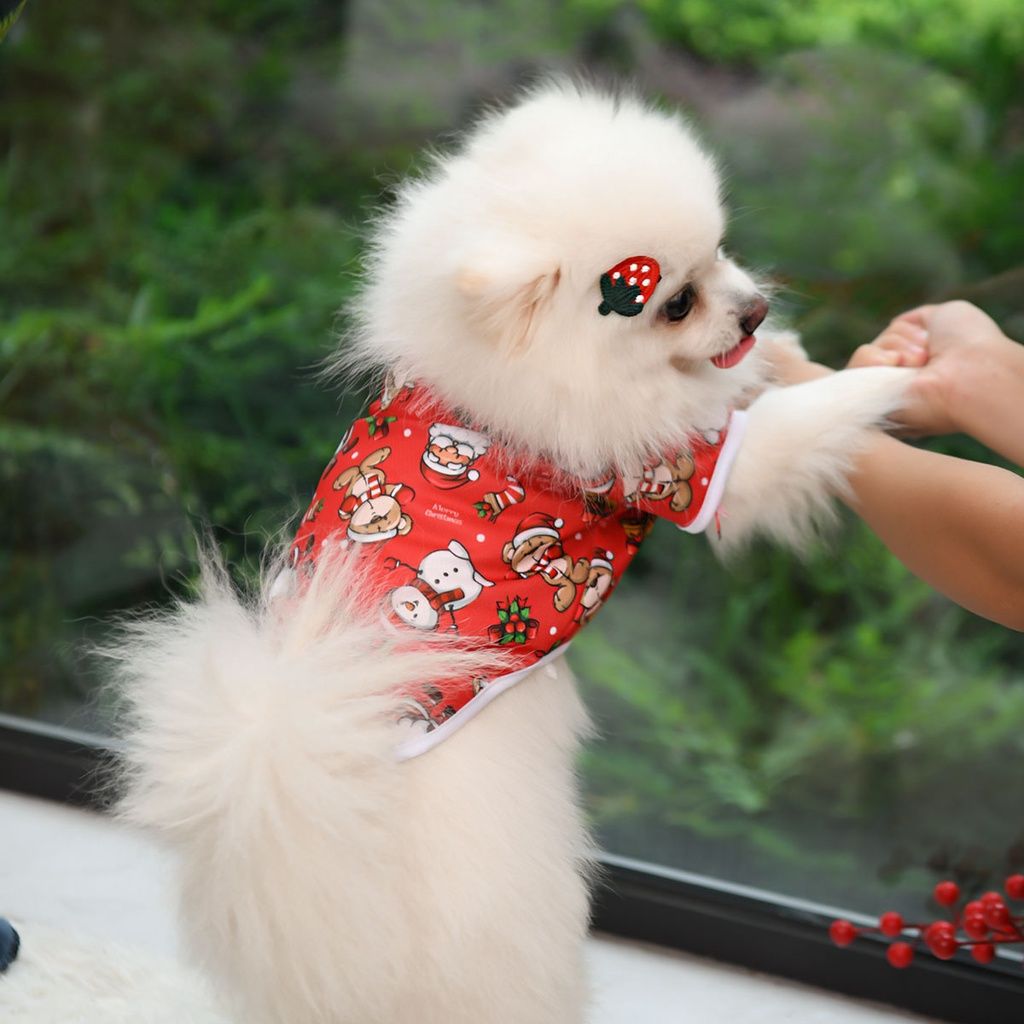 Pet Product - Premium Pet Accessory