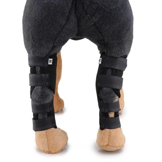 Dog Leg Brace - Majestic Pet Kingdom