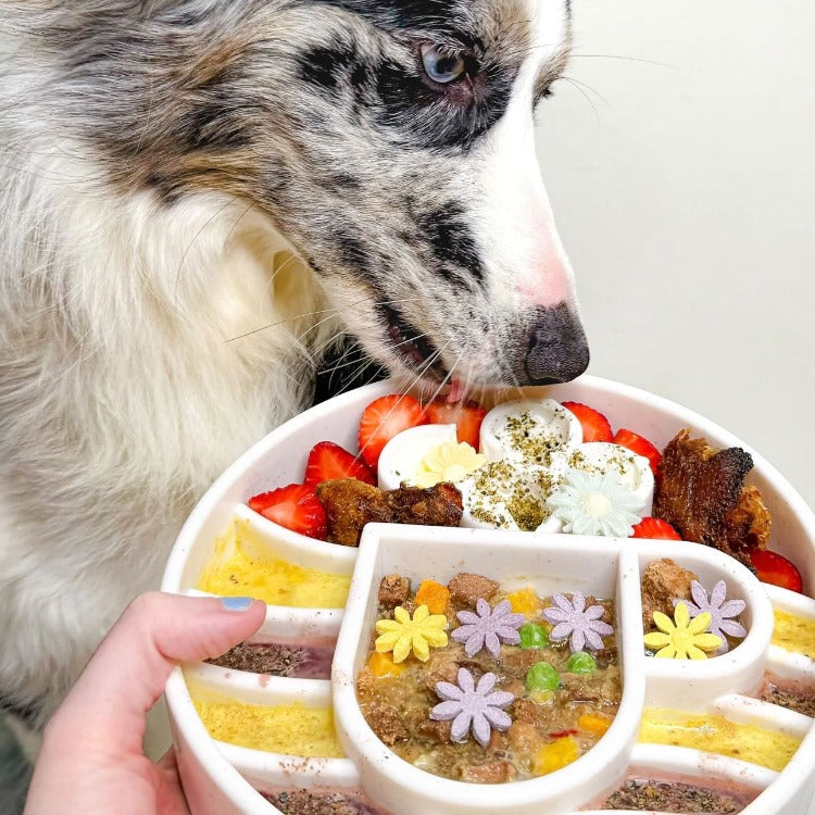 Pet Supply Product | The Finest Market