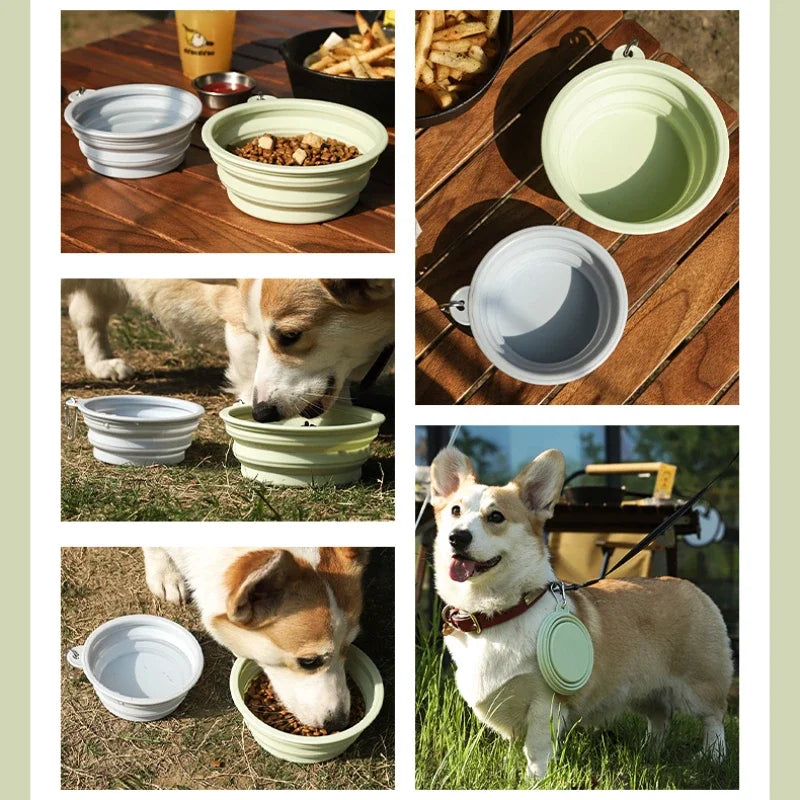 Foldable Travel Bowl: Silicone Pet Food Container - Majestic Pet Kingdom