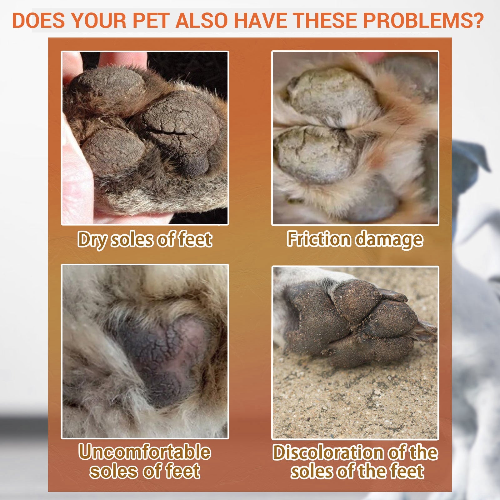 Pet Paw Care Balm: Anti-Dry Crack Pad Moisturizer