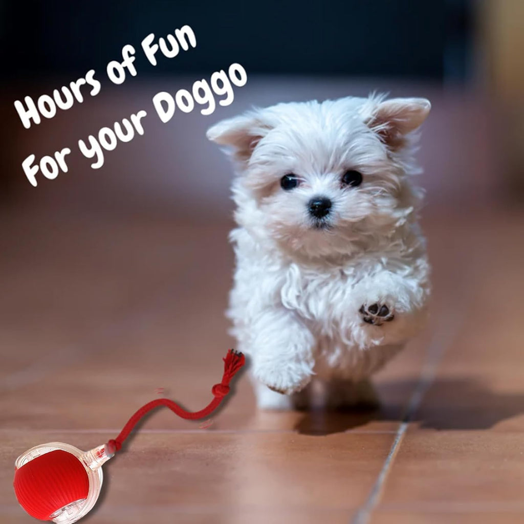 Automatic Dog Ball: Interactive USB Smart Rolling Toy