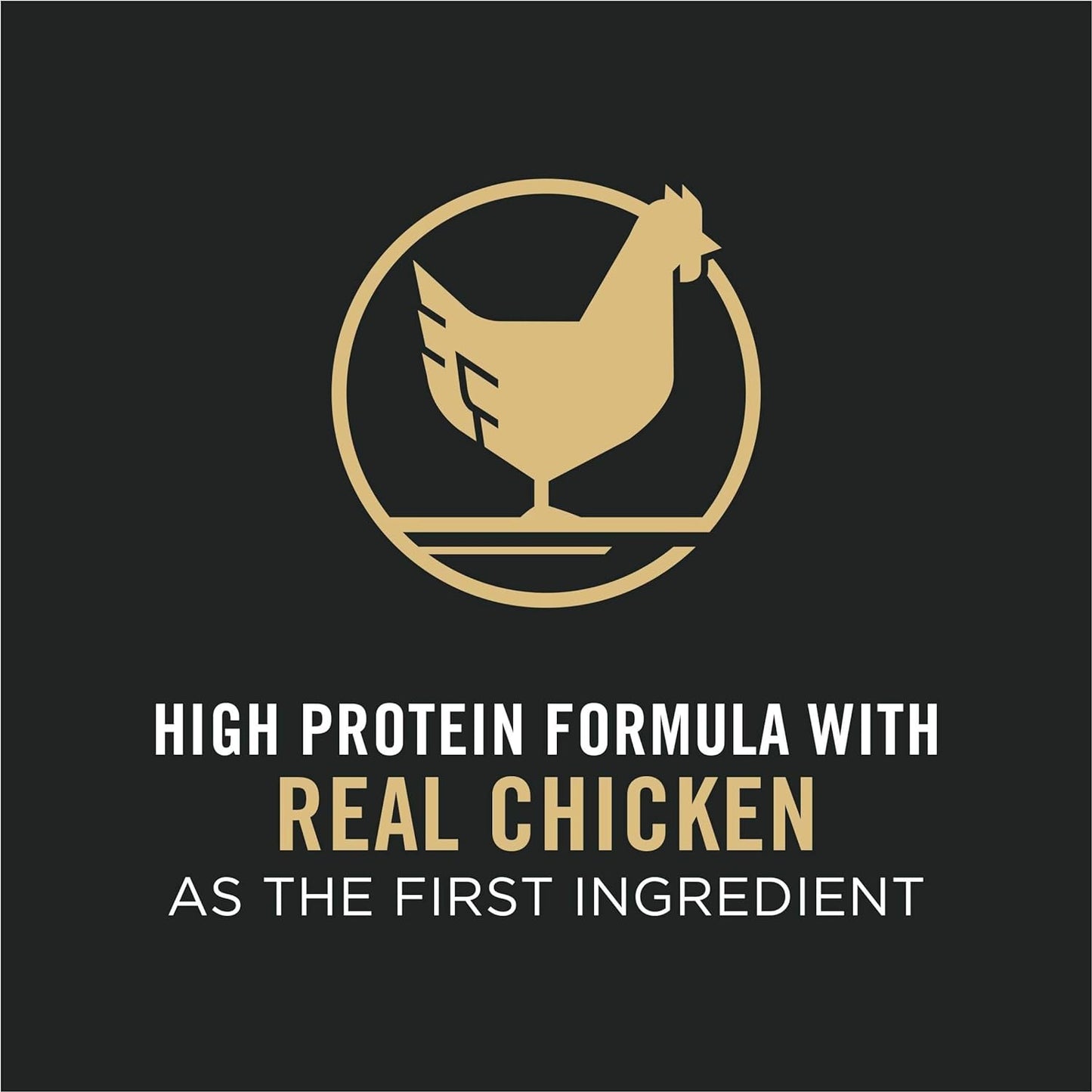 Dog Food Pro Plan Complete Essentials Chicken Rice Dry Food
