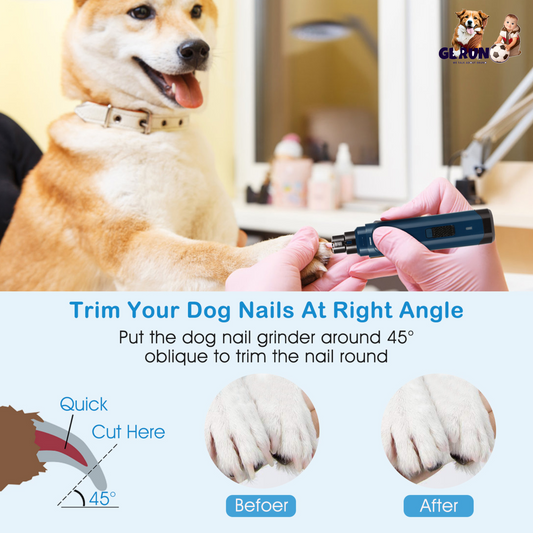 Dog Nail Grinder 2 Speeds Quiet USB Rechargeable Pet Nail Grinder Professional Pet Nail Trimmer Cordless Paws Grooming & Smoothing Claw Care for Small | Purrfect Pet Kingdom
