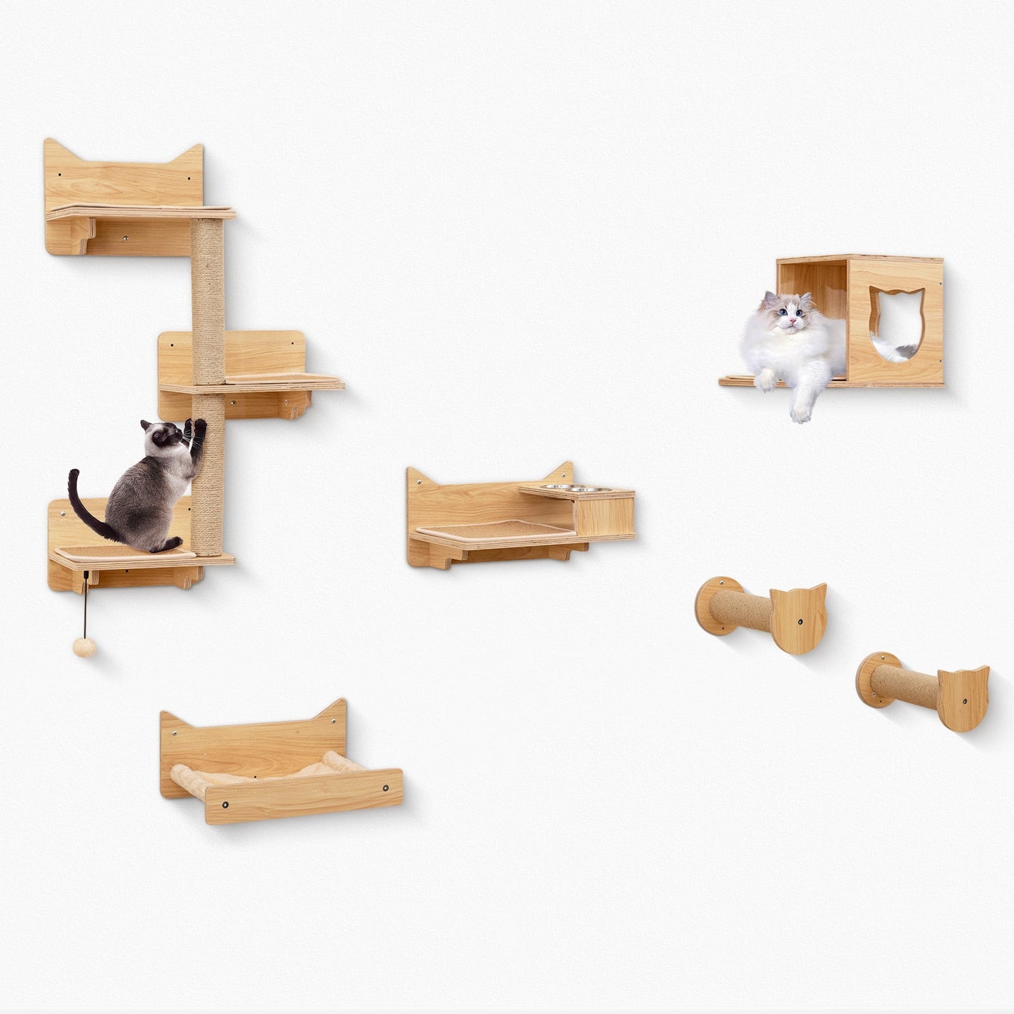 6 Pieces Cat Wall Furniture Set Kitten Wall Mounted Shelves-Natural | Purrfect Pet Kingdom