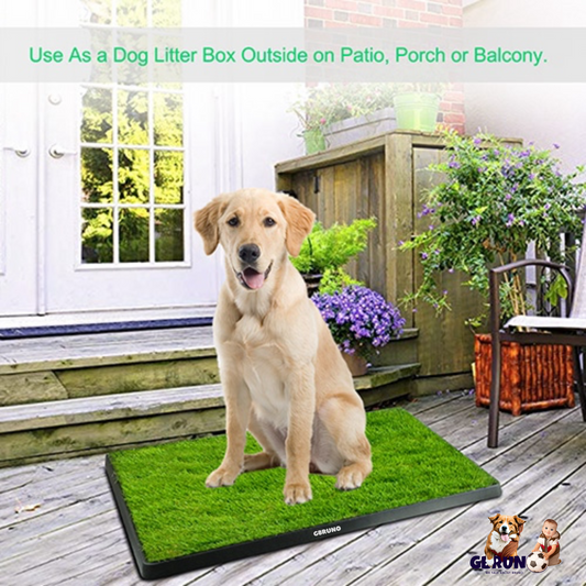 Dog Potty Training Artificial Grass Pad Pet Cat Toilet Trainer Mat Puppy Loo Tray Turf For Small Medium Dogs Indoor Outdoor Use | Purrfect Pet Kingdom