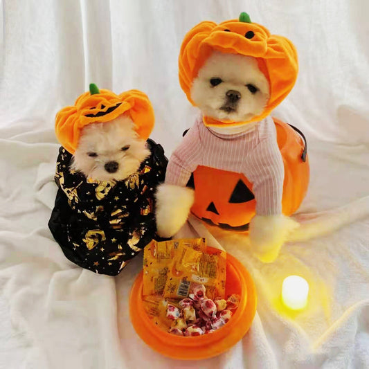 Dog Hat Halloween Pumpkin Plush Headpiece Holiday Costume Cap