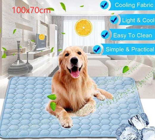Pet Product - Premium Pet Accessory