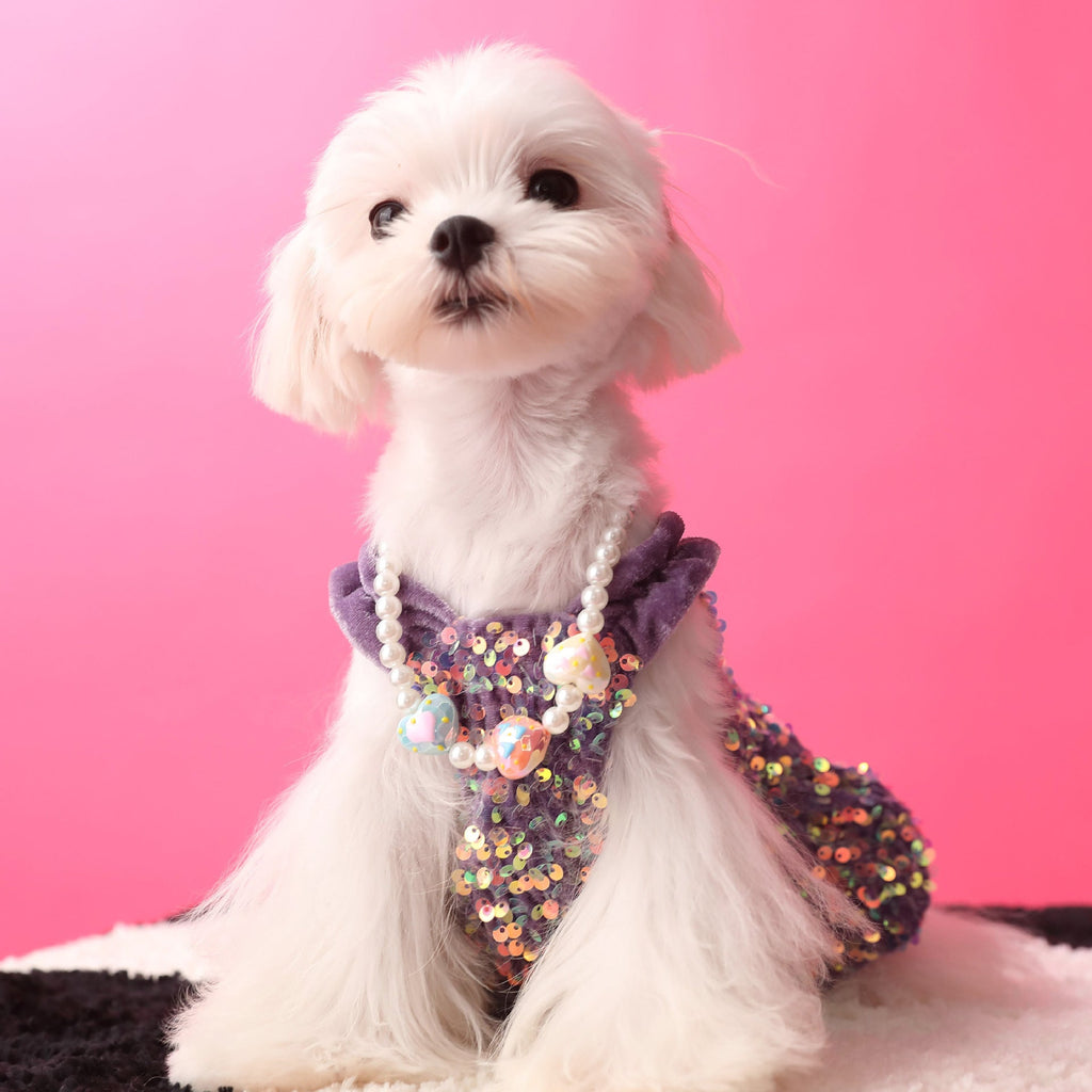 Female Dog Clothes Autumn Dress Velvet Sequins - Majestic Pet Kingdom