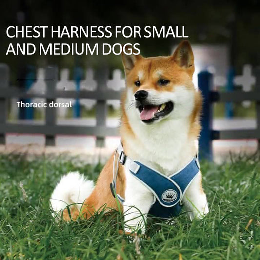 Dog Harness Adjustable Pet Harness Vest For Small Large Dog Cat Reflective Mesh Puppy Cat Chest Strap Dog Accessories | Purrfect Pet Kingdom
