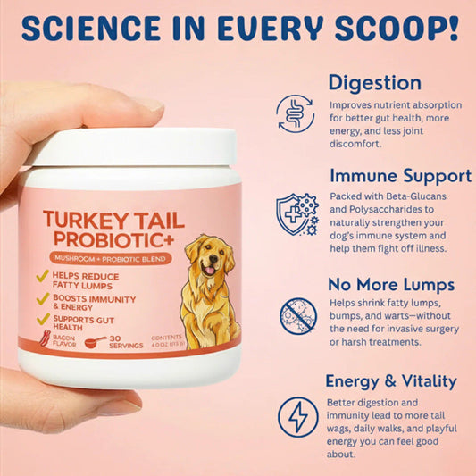 Dog Mushroom Powder Turkey Tail Immune Health Supplement 4oz