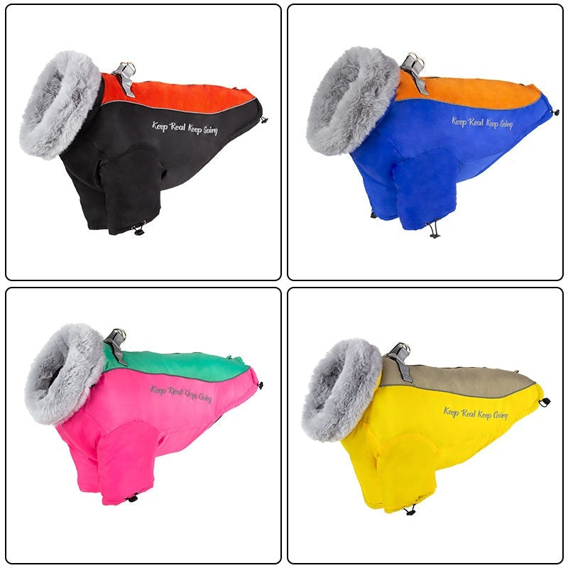 Pet Product - Premium Pet Accessory