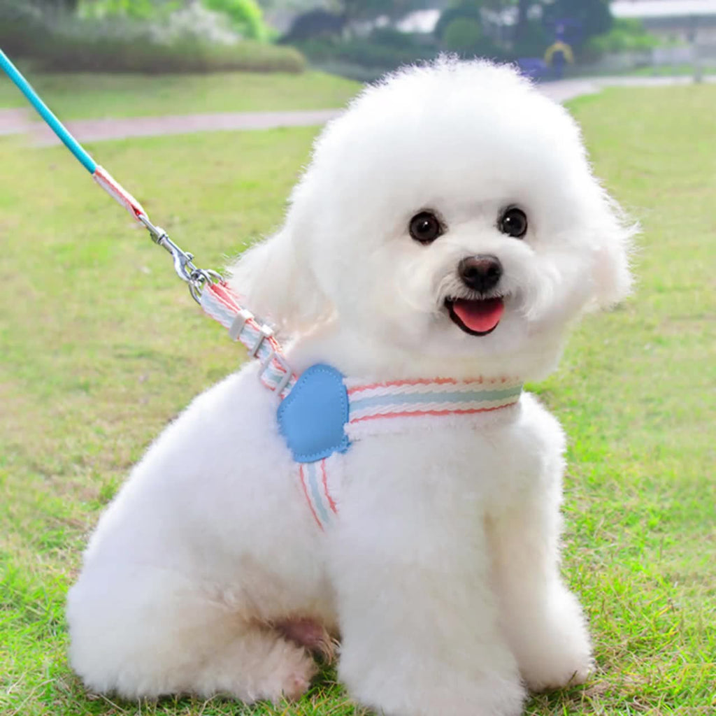 Luxury Pet Essentials - Purrfect Pet Kingdom™