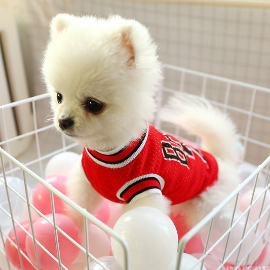 Premium Pet Product Premium Quality Product Essential Pet Su