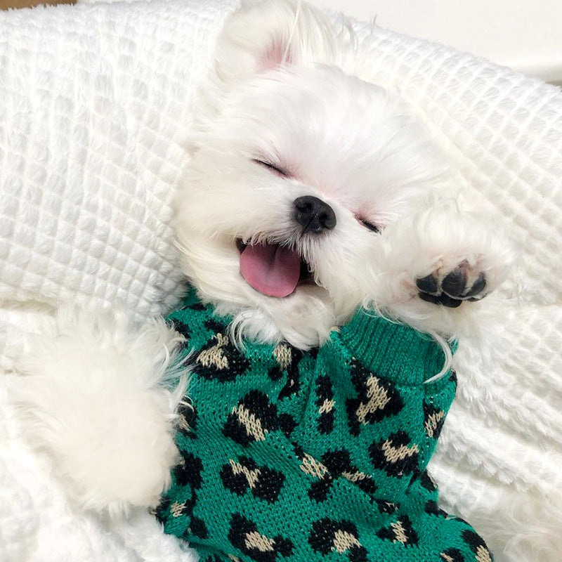 Knitted Dog Leopard-print Sweater Small Dog Pet Dog Cat Clothes - Majestic Pet Kingdom