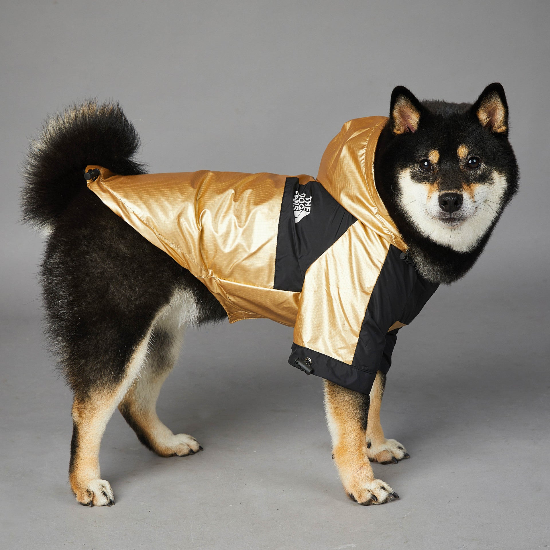 Premium Pet Product Premium Quality Product Essential Pet Su