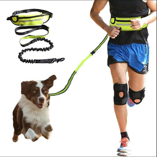 Dog Leash Hands-Free Running Waist Belt with Bungee Lead Pouch