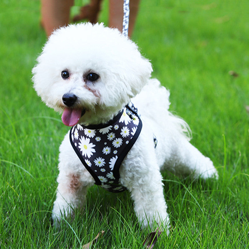 Pet Breathable Dog Harness Leash Set Ergonomic Walking Harness | Majestic Pet Kingdom™